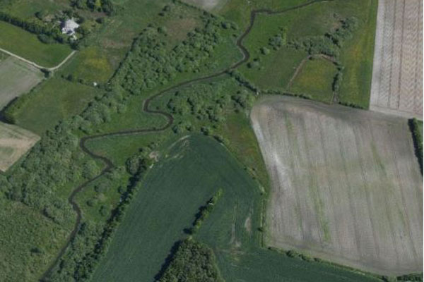 Naturpleje ved Endrup. Træerne fjernes for at genskabe engarealerne.